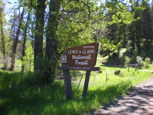 Lewis and Clark National Forest | Great Falls MT